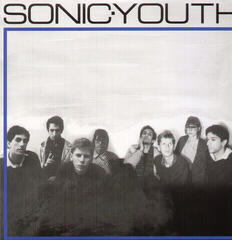 Vinyl Record Sonic Youth - Sonic Youth (Reissue) (2 LP)