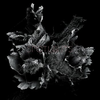 LP ploča Spotlights - Love & Decay (Coloured) (2 LP) - 1