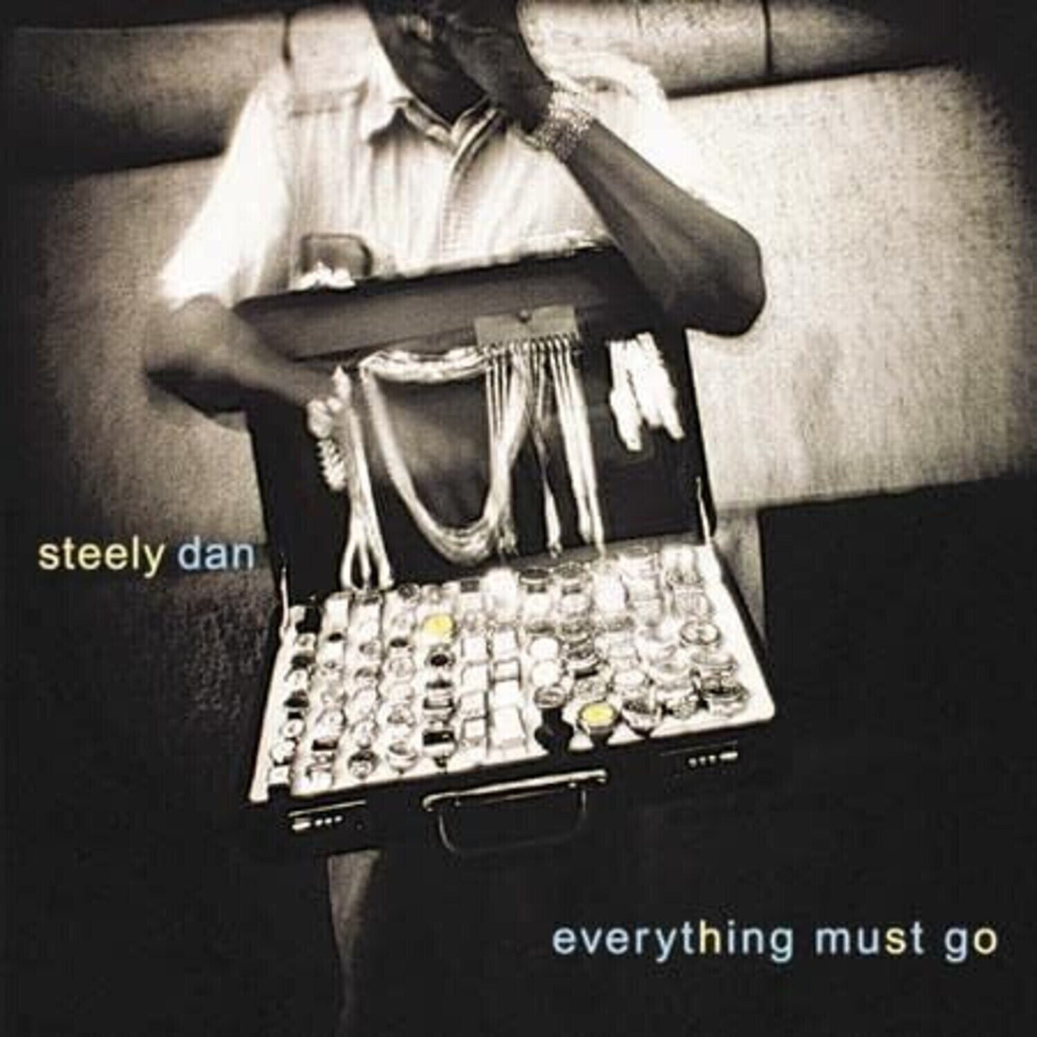 LP ploča Steely Dan - Everything Must Go (Limited Edition) (180 g) (2 LP)