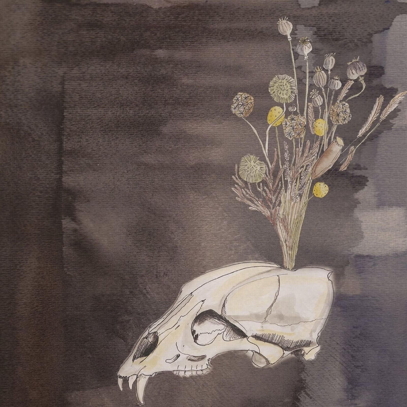 LP Steve Gunn & Black Twig Pickers - Seasonal Hire (Limited Edition) (LP)