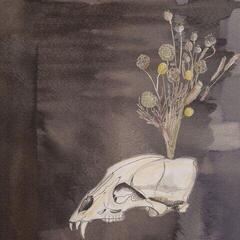 LP Steve Gunn & Black Twig Pickers - Seasonal Hire (Limited Edition) (LP)