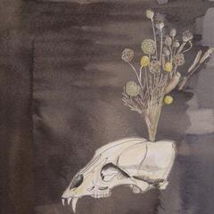 LP Steve Gunn & Black Twig Pickers - Seasonal Hire (Limited Edition) (Coloured) (LP)