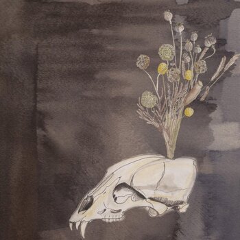 LP Steve Gunn & Black Twig Pickers - Seasonal Hire (Limited Edition) (Coloured) (LP) - 1