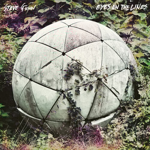 Vinyl Record Steve Gunn - Eyes On The Lines (LP)