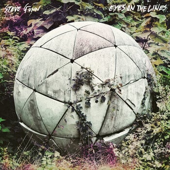 Vinyl Record Steve Gunn - Eyes On The Lines (LP) - 1