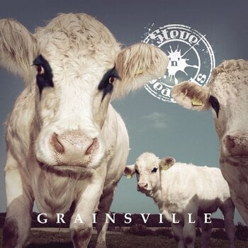 Disque vinyle Steve'n'Seagulls - Grainsville (LP) - 1