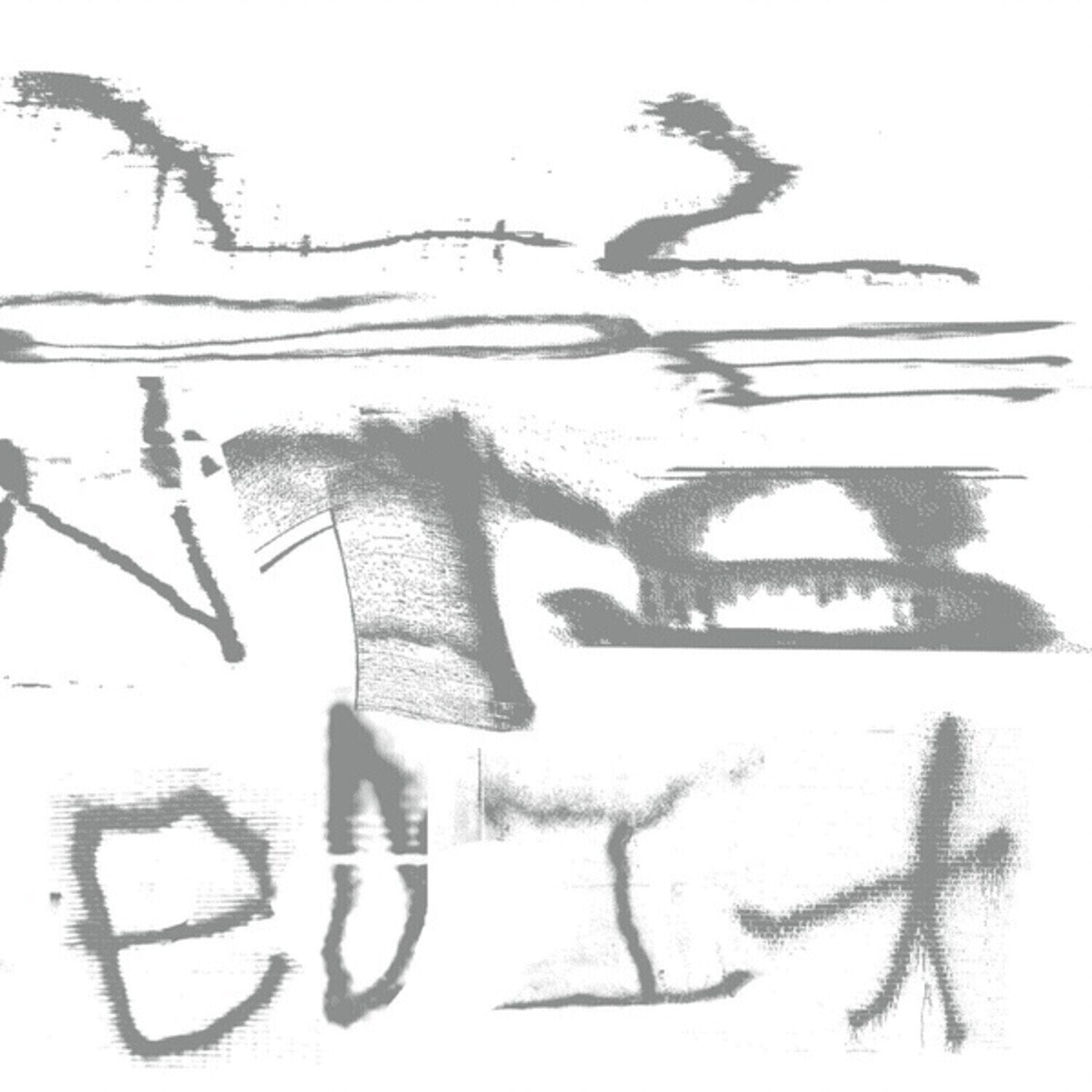 Vinyl Record Still House Plants - Fast Edit (LP)