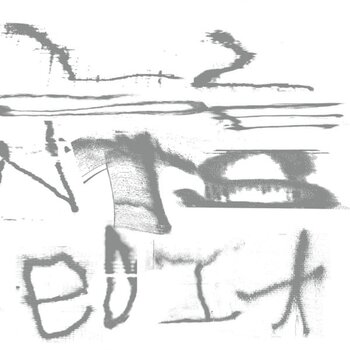 Vinyl Record Still House Plants - Fast Edit (LP) - 1