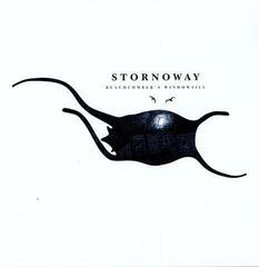 Vinylskiva Stornoway - Beachcomber's Windowsill (Reissue) (LP)