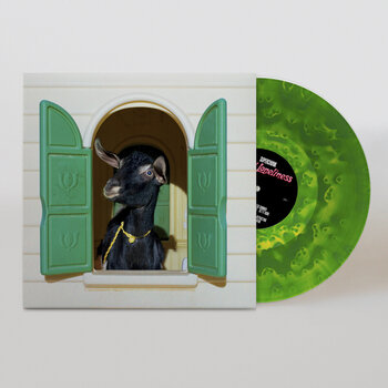 Vinüülplaat Superchunk - Wild Loneliness (Limited Edition) (Green & Yellow Coloured) (LP) - 1