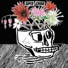 Vinüülplaat Superchunk - What A Time To Be Alive (Reissue) (LP)