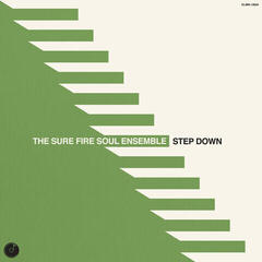Vinyl Record The Sure Fire Soul Ensemble - Step Down (LP)