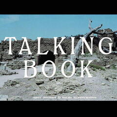 Δίσκος LP The Talking Book - Talking Book II (LP)