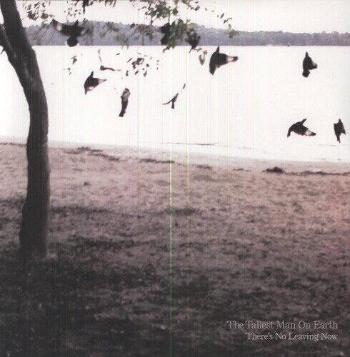 Disque vinyle The Tallest Man On Earth - There's No Leaving Now (LP)