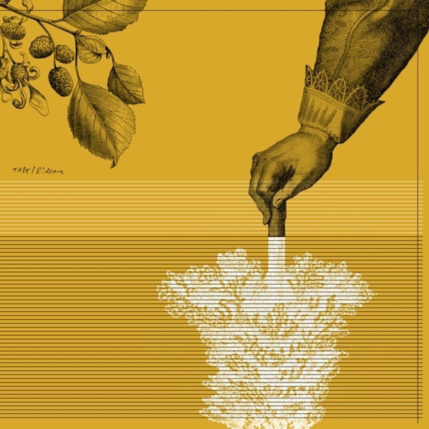 Disque vinyle Tape - Rideau (Limited Edition) (LP)