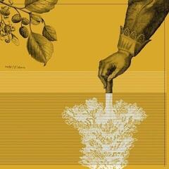 Disque vinyle Tape - Rideau (Limited Edition) (LP)