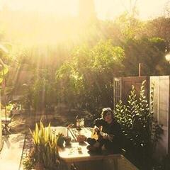 Disque vinyle Tara Jane O'Neil - Tara Jane O'Neil (LP)