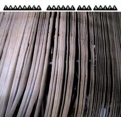 Vinyl Record Tarwater - Inside The Ships (180 g) (LP)