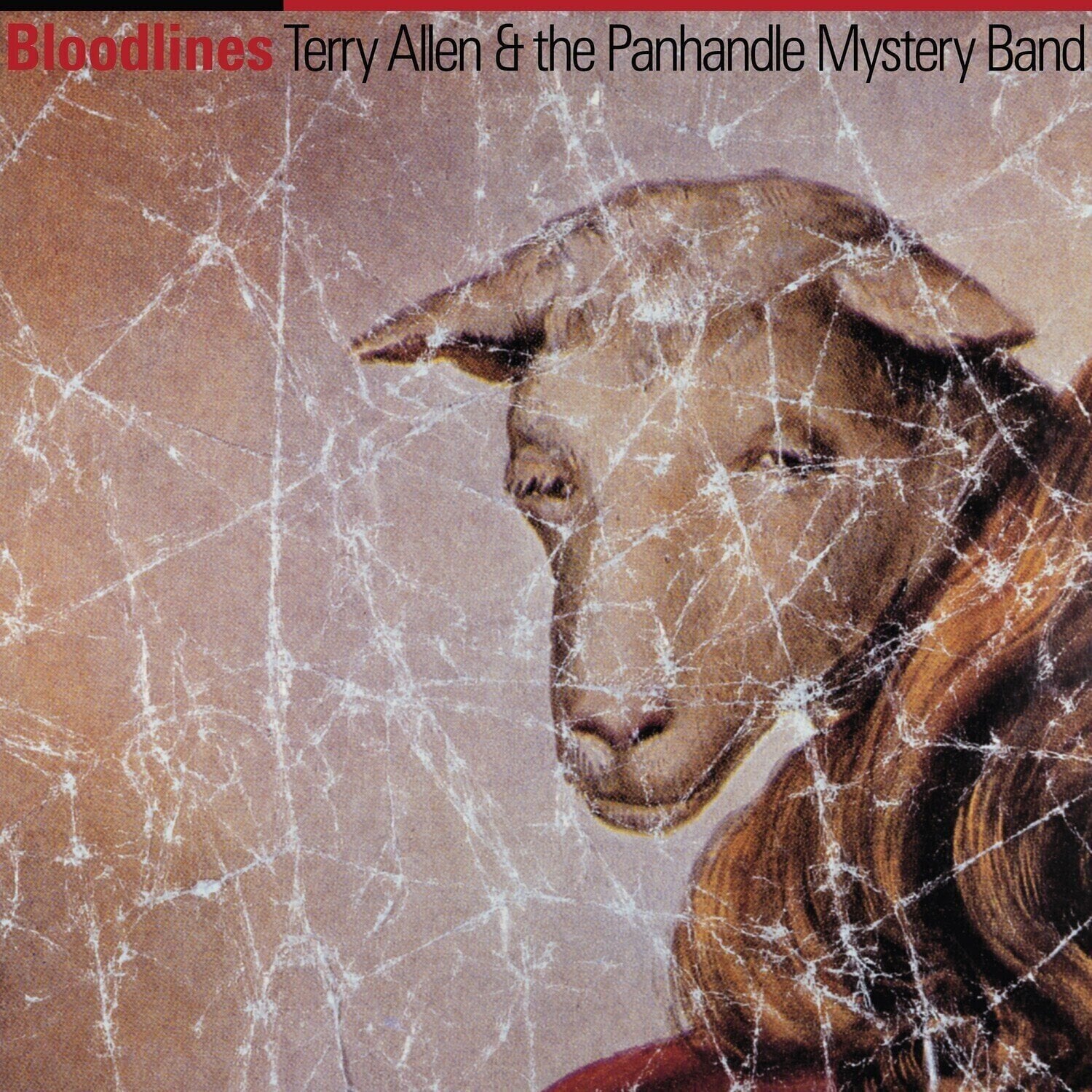 LP Terry Allen & The Panhandle Mystery Band - Bloodlines (Reissue) (LP)