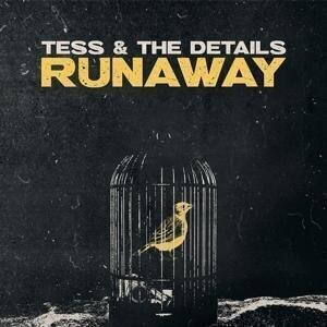 Disco de vinil Tess & The Details - Runaway (Limited Edition) (LP) - 1