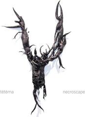 Disque vinyle Tētēma - Necroscape (Limited Edition) (Coloured) (LP)