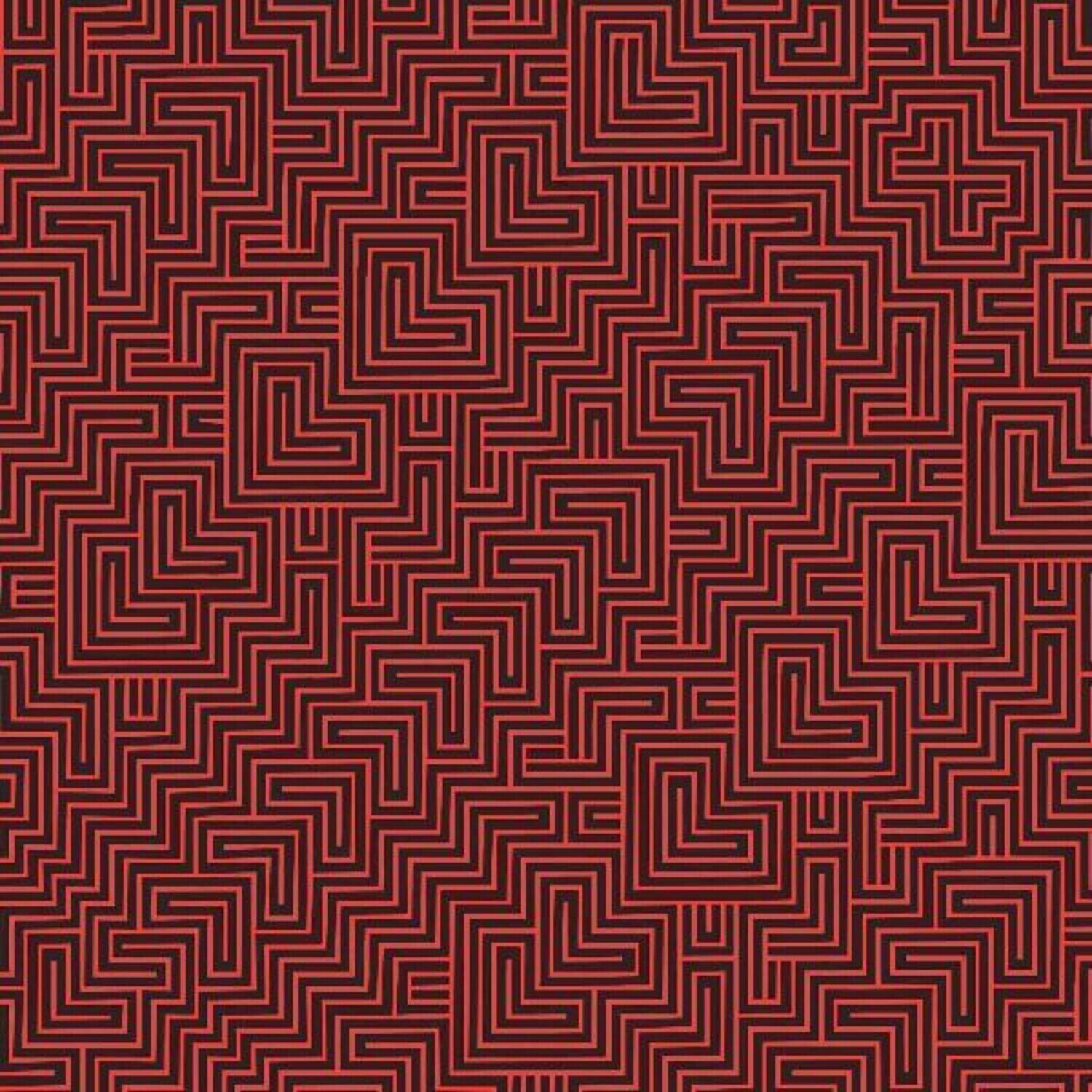 LP ploča The Black Angels - Wilderness Of Mirrors (2 LP)