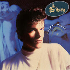 Vinyl Record The Blow Monkeys - Animal Magic (Limited Edition) (White Coloured) (LP)