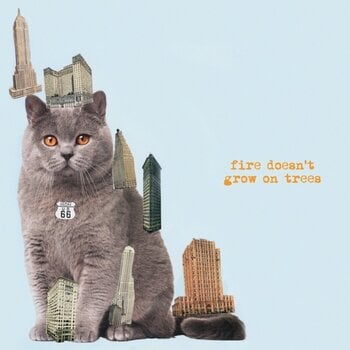 Disco in vinile The Brian Jonestown Massacre - Fire Doesn't Grow On Trees (LP) - 1