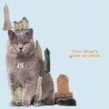 The Brian Jonestown Massacre - Fire Doesn't Grow On Trees (LP)