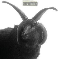 Vinyl Record The Cult - The Cult (Limited Edition) (Ivory Coloured) (2 LP)