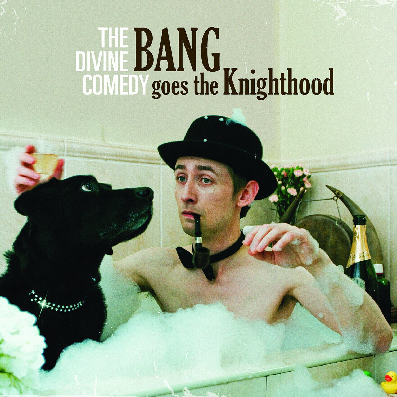 Disque vinyle The Divine Comedy - Bang Goes The Knighthood (Reissue) (LP)
