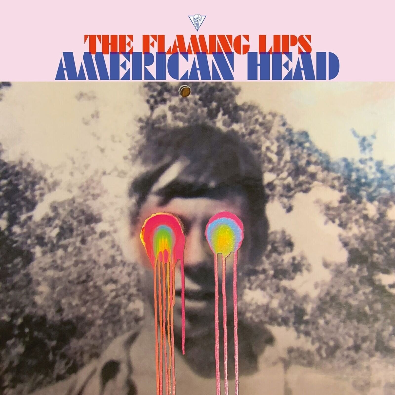 Vinylskiva The Flaming Lips - American Head (2 LP)