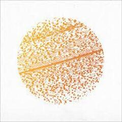 LP plošča The Gathering - Beautiful Distortion (Coloured) (LP)