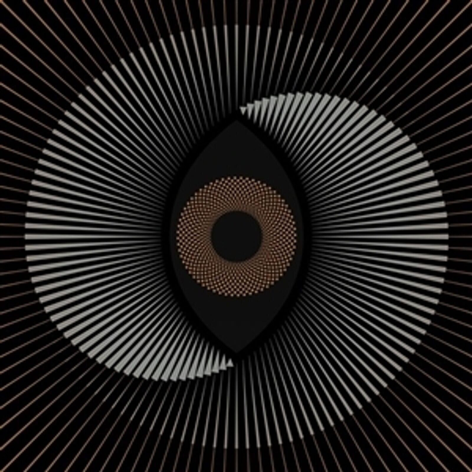 Disco in vinile The Ocean - Holocene (LP)