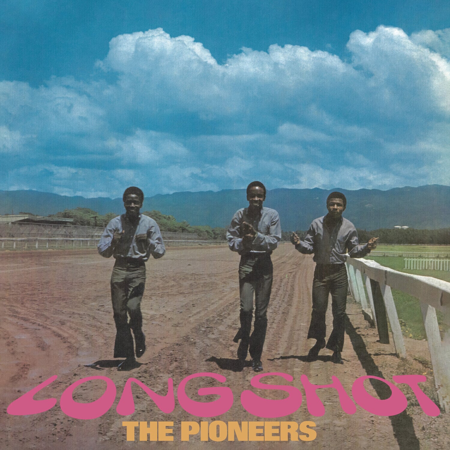 Vinyl Record The Pioneers - Long Shot (LP)
