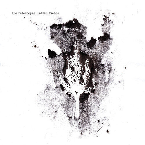 Vinüülplaat The Telescopes - Hidden Fields (LP + CD)