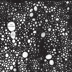 Vinüülplaat The Telescopes - As Light Return (LP + CD)