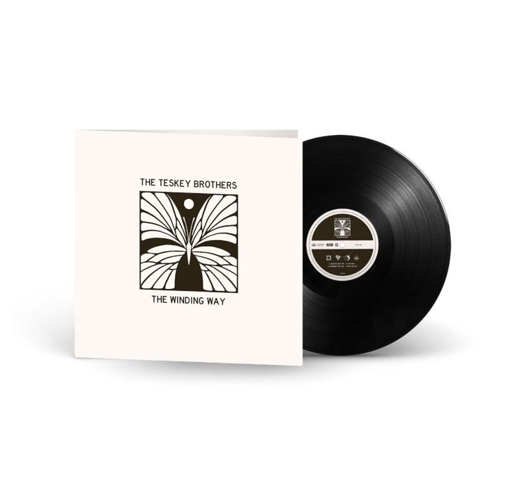 Vinylskiva The Teskey Brothers - The Winding Way (Limited Edition) (LP)