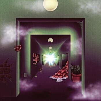 Disco in vinile Thee Oh Sees - A Weird Exits (Limited Edition) (2 LP) - 1