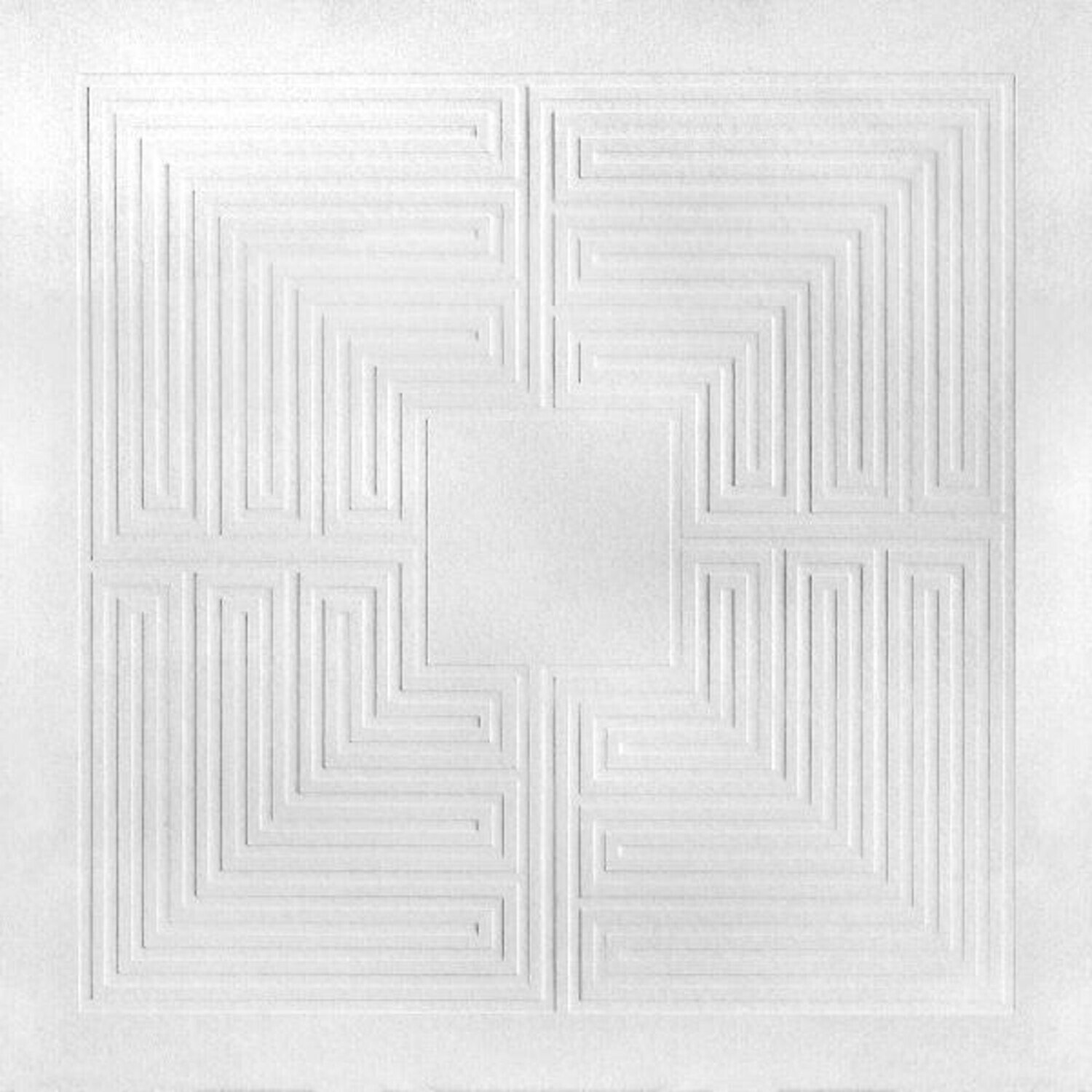 Disque vinyle These New Puritans - Hidden [MMXX] (10th Anniversary) (Reissue) (2 LP)