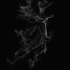 LP deska Jarboe - Illusory (LP)