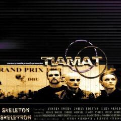 Vinyl Record Tiamat - Skeleton Skeletron (Limited Edition) (Gold Coloured) (LP)