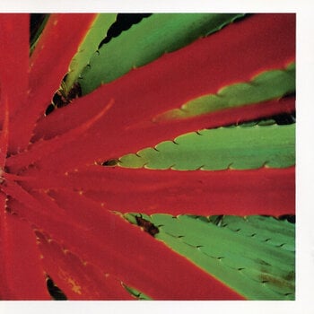 Disco de vinil Jejune - This Afternoon Malady (2 LP) - 1