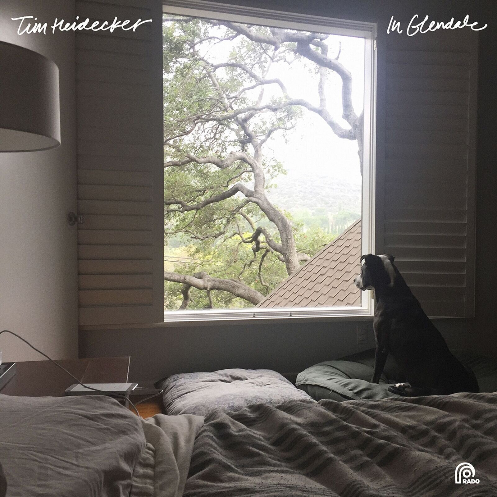 Disco in vinile Tim Heidecker - In Glendale (LP)