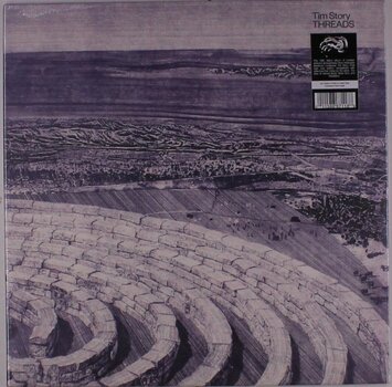 Disco in vinile Tim Story - Threads (Limited Edition) (Clear Coloured) (LP) - 1