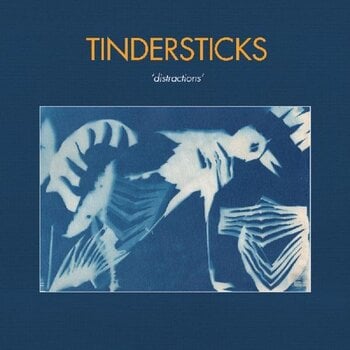 Vinyl Record Tindersticks - Distractions (Limited Edition) (LP) - 1