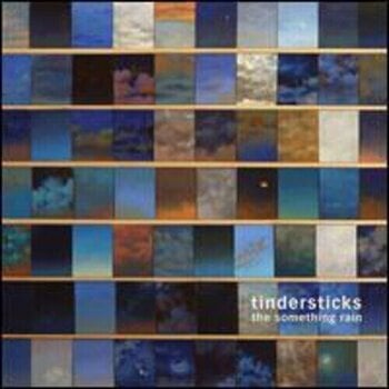 Vinyl Record Tindersticks - The Something Rain (180 g) (LP) - 1