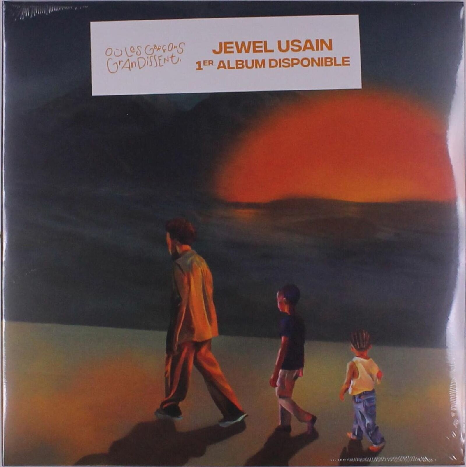 Vinyl Record Jewel Usain - Où Les Garçons Grandissent (2 LP)