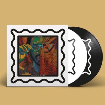 Vinüülplaat Toro Y Moi - Anything In Return (Deluxe Edition) (2 LP) - 1