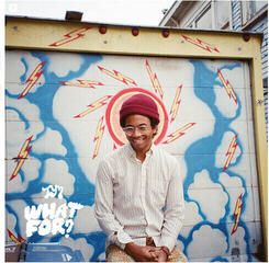 Vinyl Record Toro Y Moi - What For? (Reissue) (LP)